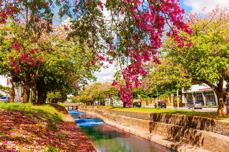 Águas Guariroba e Prefeitura de Campo Grande renovam convênio do programa “Córrego Limpo”