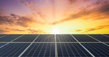 Energia limpa, economia circular e preservação, iniciativas unem inovação e cuidado com o meio ambiente em MS